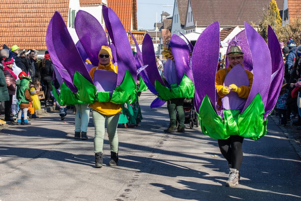 Faschingsumzug Lauterbach
